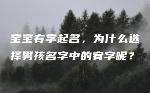 宝宝宥字起名，为什么选择男孩名字中的宥字呢？