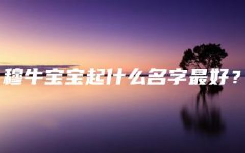 穆牛宝宝起什么名字最好？