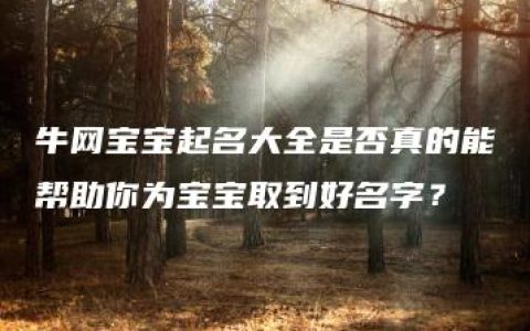 牛网宝宝起名大全是否真的能帮助你为宝宝取到好名字？