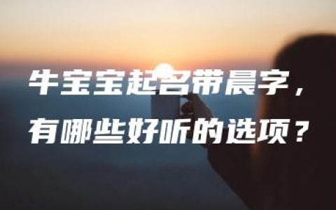 牛宝宝起名带晨字，有哪些好听的选项？