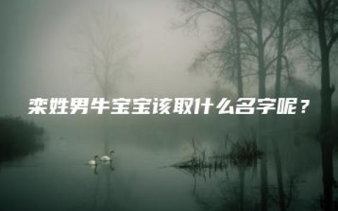 栾姓男牛宝宝该取什么名字呢？