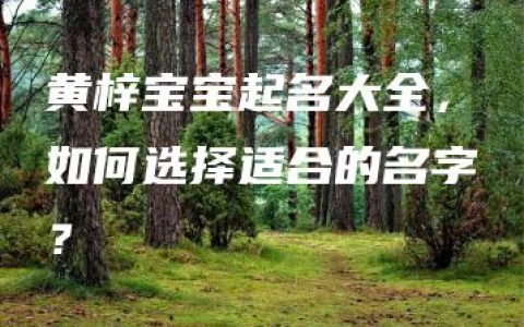 黄梓宝宝起名大全，如何选择适合的名字？