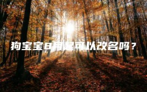 狗宝宝8月起可以改名吗？