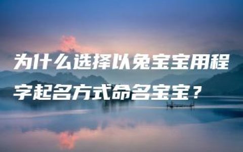 为什么选择以兔宝宝用程字起名方式命名宝宝？