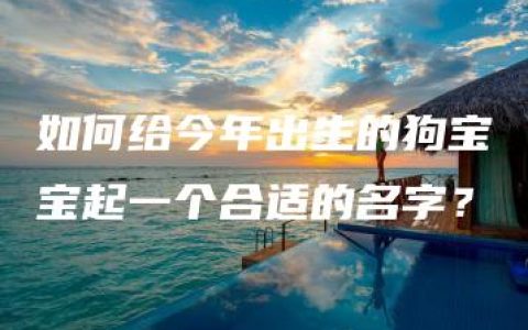 如何给今年出生的狗宝宝起一个合适的名字？