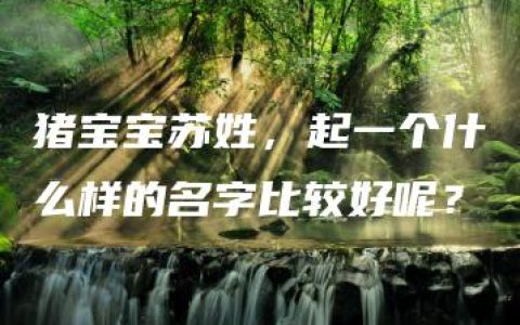 猪宝宝苏姓，起一个什么样的名字比较好呢？