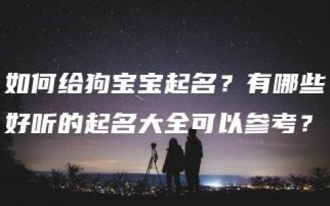 如何给狗宝宝起名？有哪些好听的起名大全可以参考？