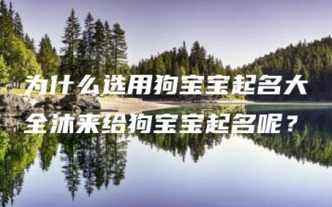 为什么选用狗宝宝起名大全沐来给狗宝宝起名呢？