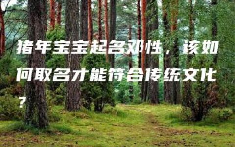 猪年宝宝起名邓性，该如何取名才能符合传统文化？