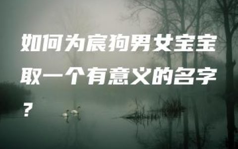 如何为宸狗男女宝宝取一个有意义的名字？