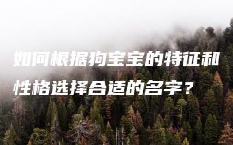 如何根据狗宝宝的特征和性格选择合适的名字？