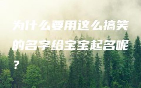 为什么要用这么搞笑的名字给宝宝起名呢？