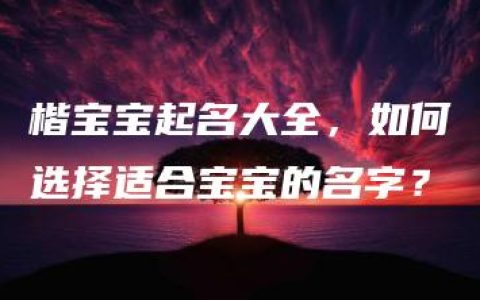 楷宝宝起名大全，如何选择适合宝宝的名字？