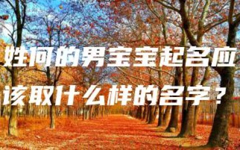 姓何的男宝宝起名应该取什么样的名字？