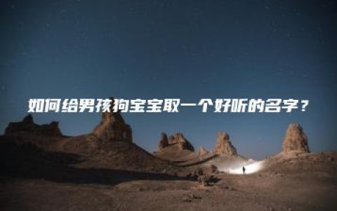 如何给男孩狗宝宝取一个好听的名字？