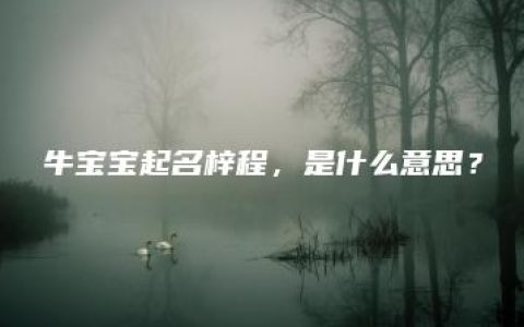 牛宝宝起名梓程，是什么意思？