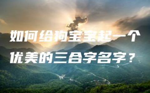 如何给狗宝宝起一个优美的三合字名字？