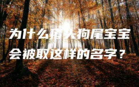 为什么猪头狗尾宝宝会被取这样的名字？