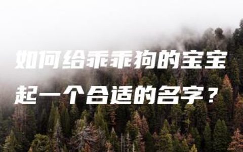 如何给乖乖狗的宝宝起一个合适的名字？