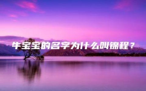 牛宝宝的名字为什么叫锦程？