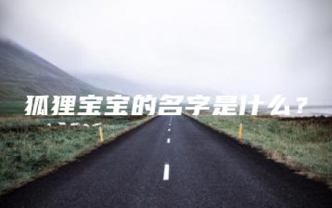 狐狸宝宝的名字是什么？