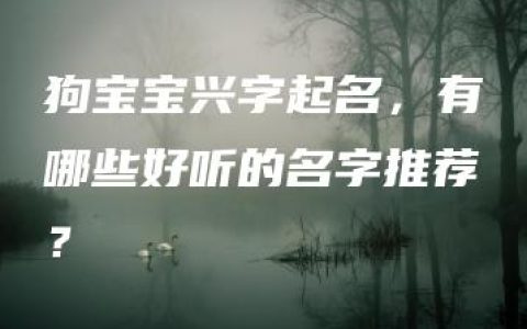 狗宝宝兴字起名，有哪些好听的名字推荐？