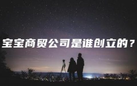 宝宝商贸公司是谁创立的？