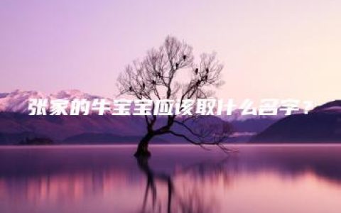 张家的牛宝宝应该取什么名字？