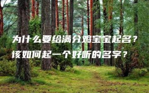 为什么要给满分鸡宝宝起名？该如何起一个好听的名字？