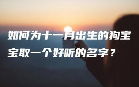 如何为十一月出生的狗宝宝取一个好听的名字？