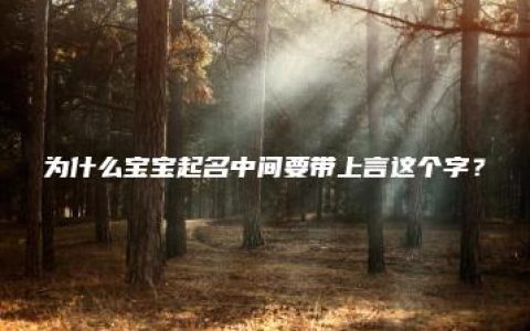 为什么宝宝起名中间要带上言这个字？