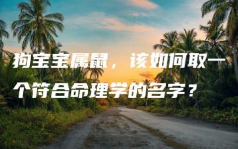 狗宝宝属鼠，该如何取一个符合命理学的名字？