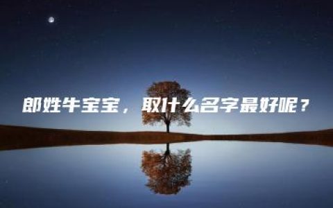 郎姓牛宝宝，取什么名字最好呢？