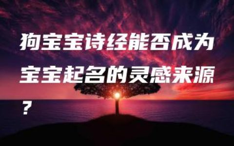 狗宝宝诗经能否成为宝宝起名的灵感来源？