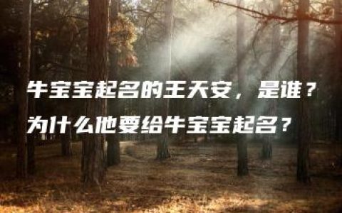 牛宝宝起名的王天安，是谁？为什么他要给牛宝宝起名？