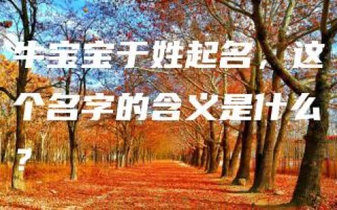 牛宝宝于姓起名，这个名字的含义是什么？