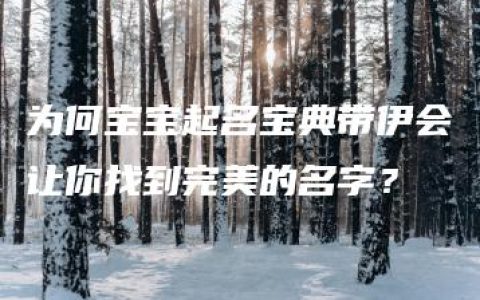 为何宝宝起名宝典带伊会让你找到完美的名字？