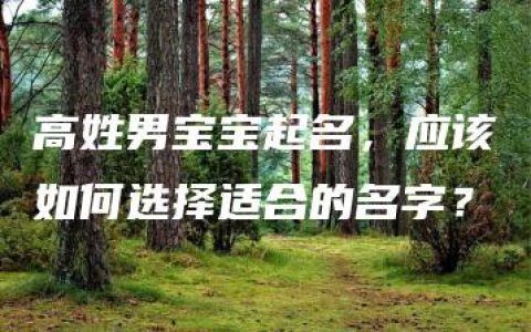 高姓男宝宝起名，应该如何选择适合的名字？