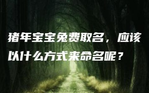 猪年宝宝兔费取名，应该以什么方式来命名呢？