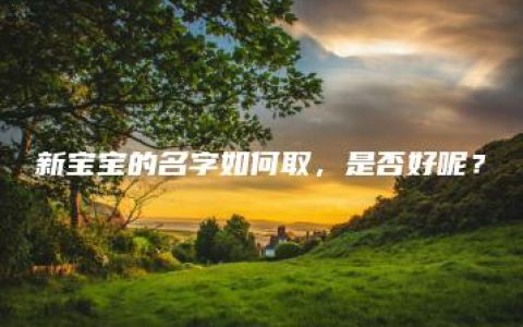 新宝宝的名字如何取，是否好呢？