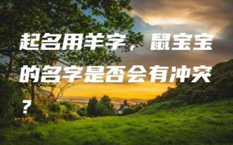 起名用羊字，鼠宝宝的名字是否会有冲突？