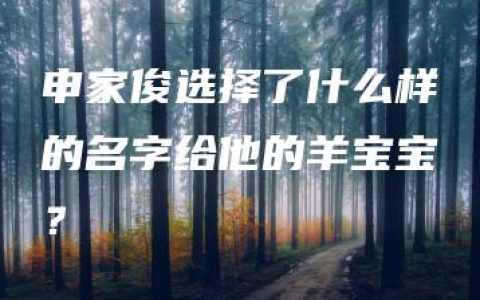 申家俊选择了什么样的名字给他的羊宝宝？