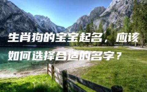 生肖狗的宝宝起名，应该如何选择合适的名字？