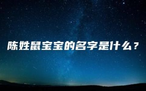 陈姓鼠宝宝的名字是什么？