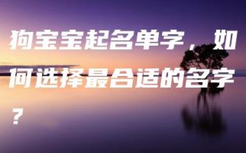 狗宝宝起名单字，如何选择最合适的名字？