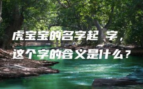 虎宝宝的名字起珝字，这个字的含义是什么？