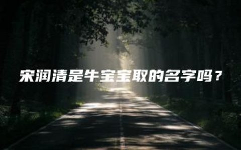 宋润清是牛宝宝取的名字吗？