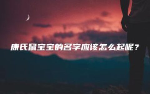 康氏鼠宝宝的名字应该怎么起呢？