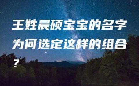 王姓晨硕宝宝的名字为何选定这样的组合？