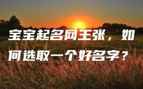 宝宝起名网王张，如何选取一个好名字？